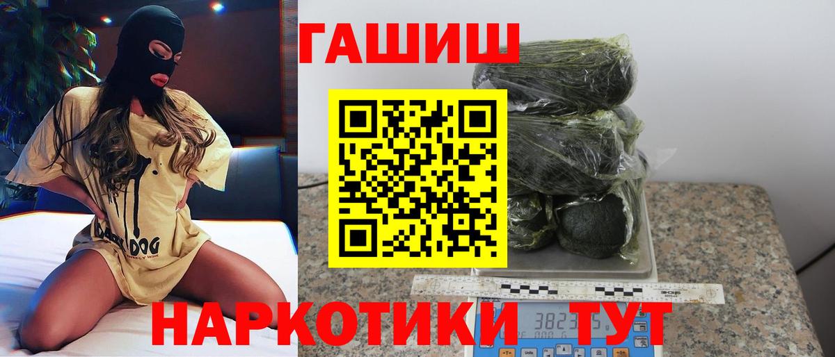 ГАШ Premium Волхов