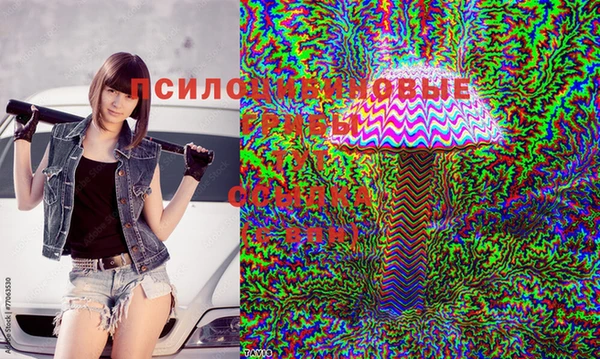 хмурый Алзамай