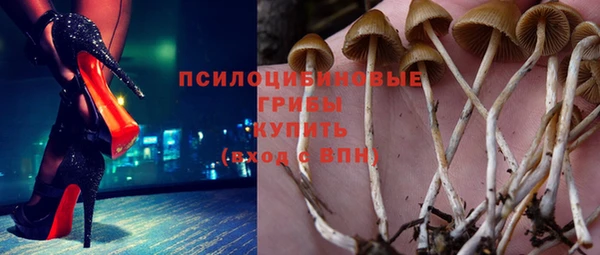 хмурый Алзамай