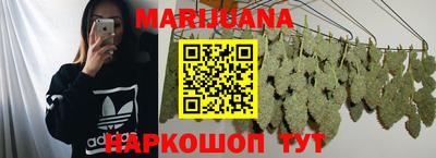 шишки Абакан