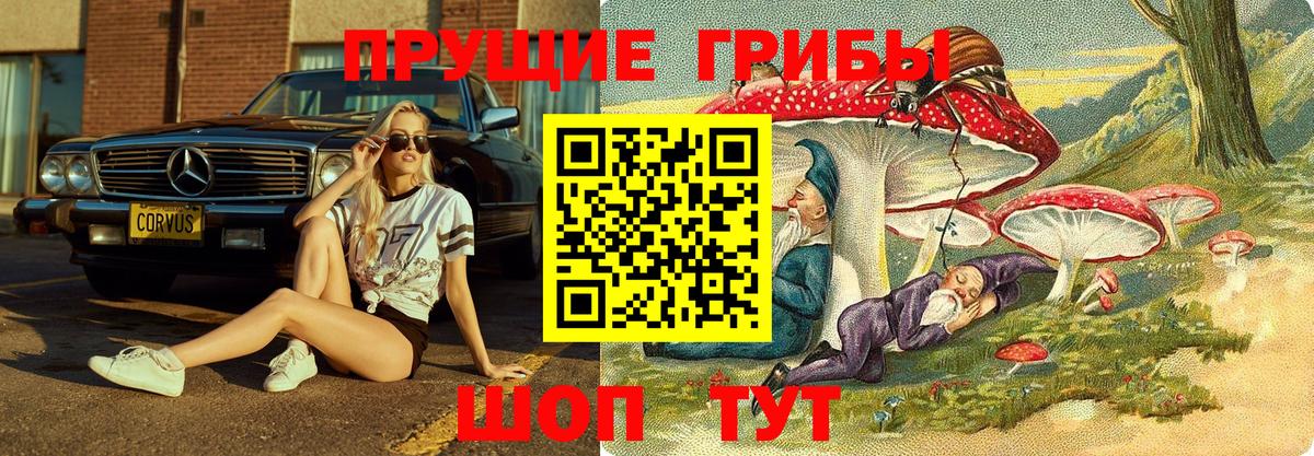 Волхов  Галлюциногенные грибы MAGIC MUSHROOMS  Псилоцибиновые грибы мицелий  Вход с VPN 