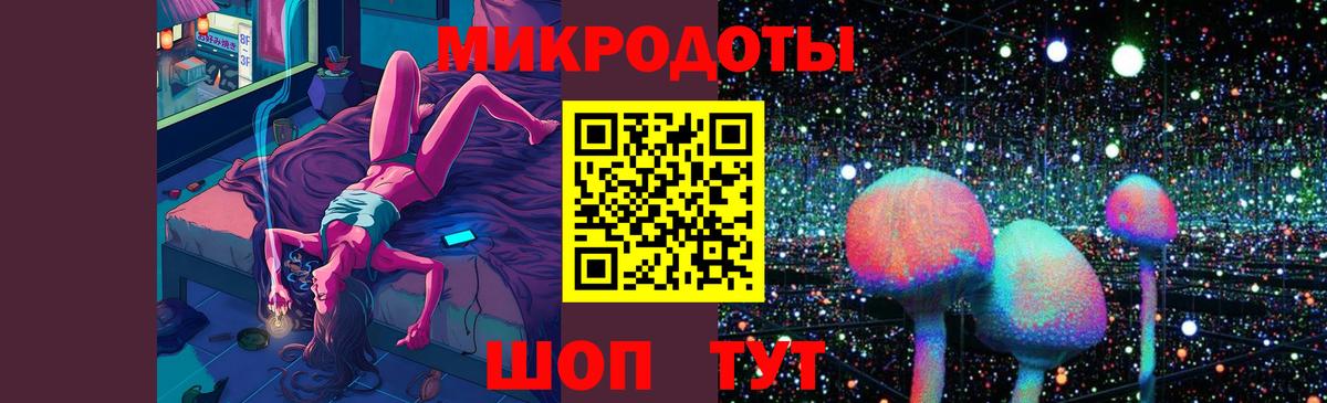 Псилоцибиновые грибы Psilocybine cubensis Волхов